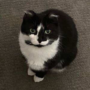 Meet your Posher, Caitlin